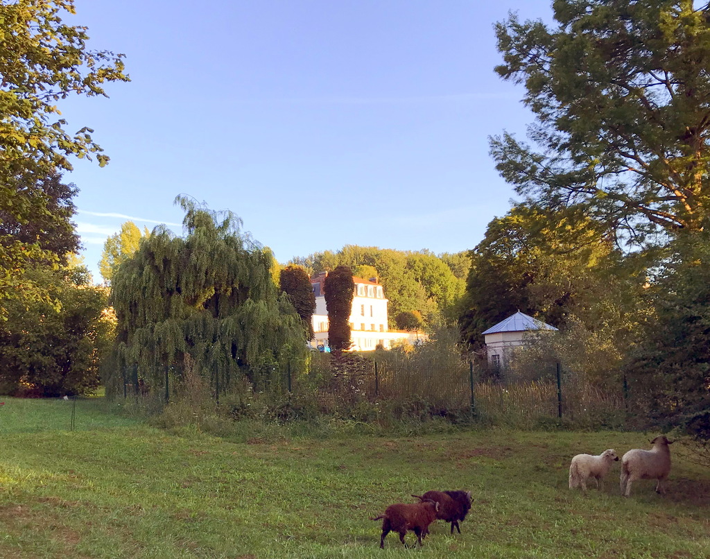 EREAlea "Léopold Bellan", Domaine de l'ange gardien, 77260 Chamigny